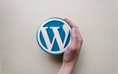Intranet et WordPress : comment partager efficacement des fichiers à grande échelle ?